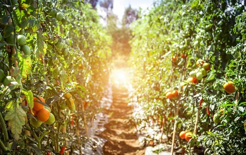 1650346309140326.jpg 862862729640f928acbce87516fc79ec_27599468_155057915088_2.jpg