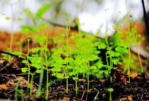 1654570180101261.png image.png