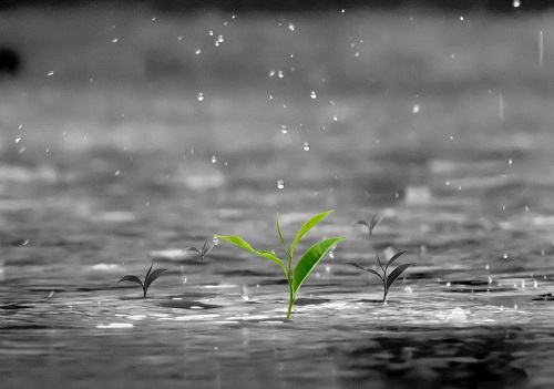 1663827460388085.png image.png