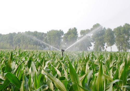 1664259788181630.png image.png