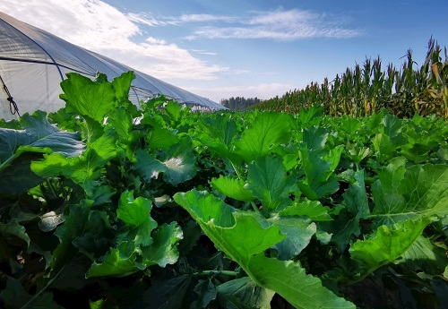 1668742527682093.png image.png