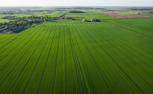 1672293782134986.png image.png