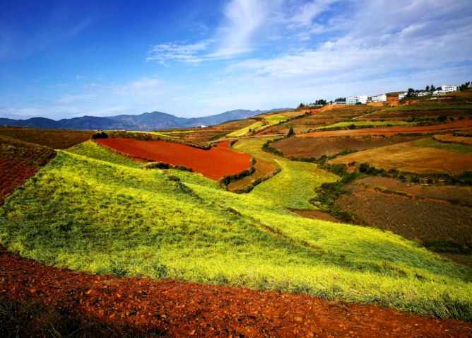 如何使用土壤酸堿度測(cè)量?jī)x？
